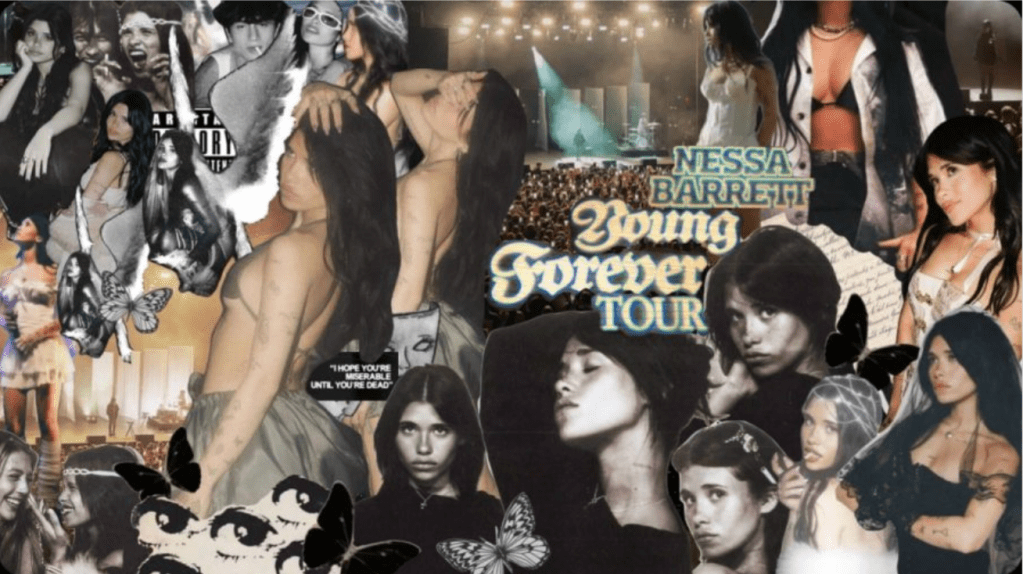 Nessa Barrett rocks&nbsp;Roadrunner